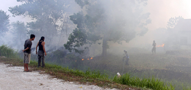 Indonesia Wildfire