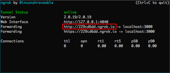 ngrok running example