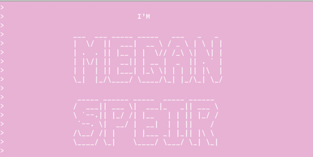 megan-speir-terminal