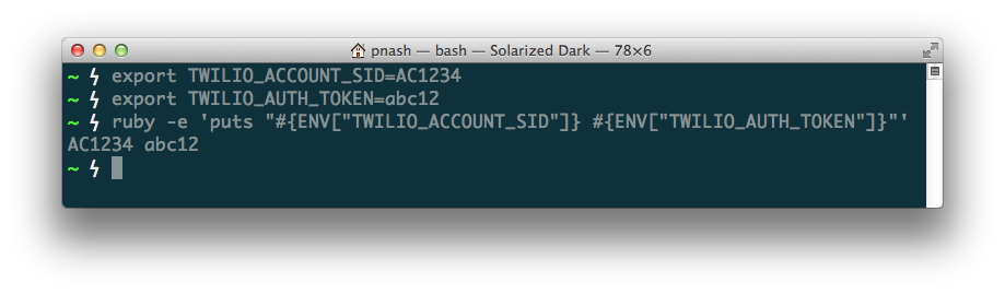 When you run the script the variables print out to the terminal as expected.