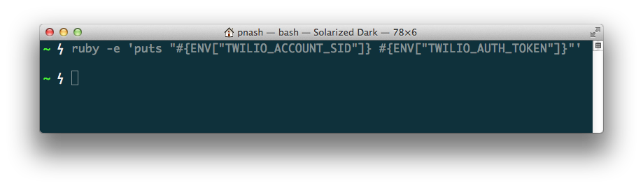 When the same line of code is run in a new terminal window, there is no output as the environment variables are no longer set.