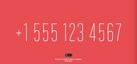 phone_number_intelligence