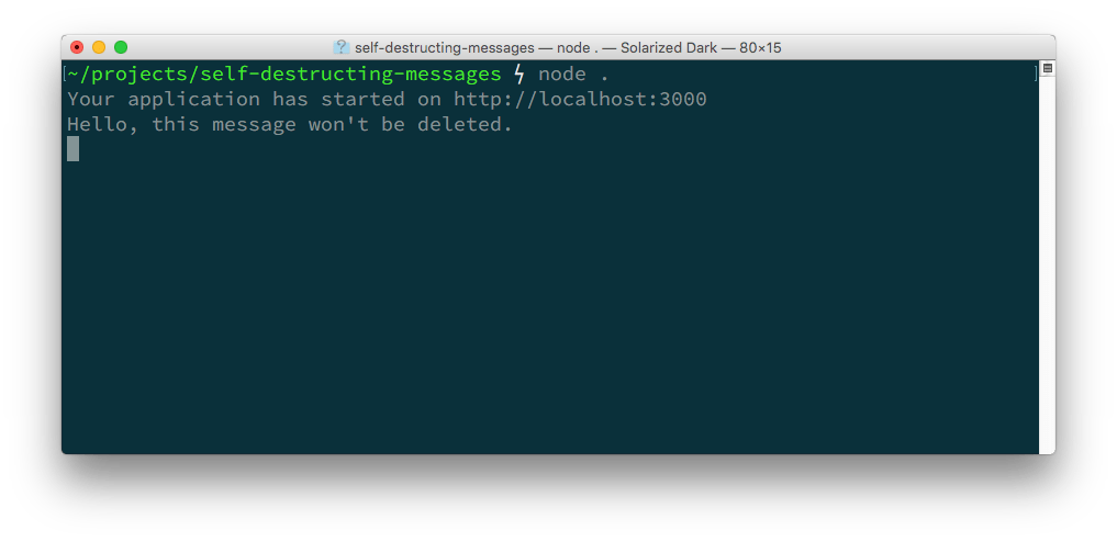 The terminal shows the application starts and then prints out the message 'Hello, this message won't be deleted.'