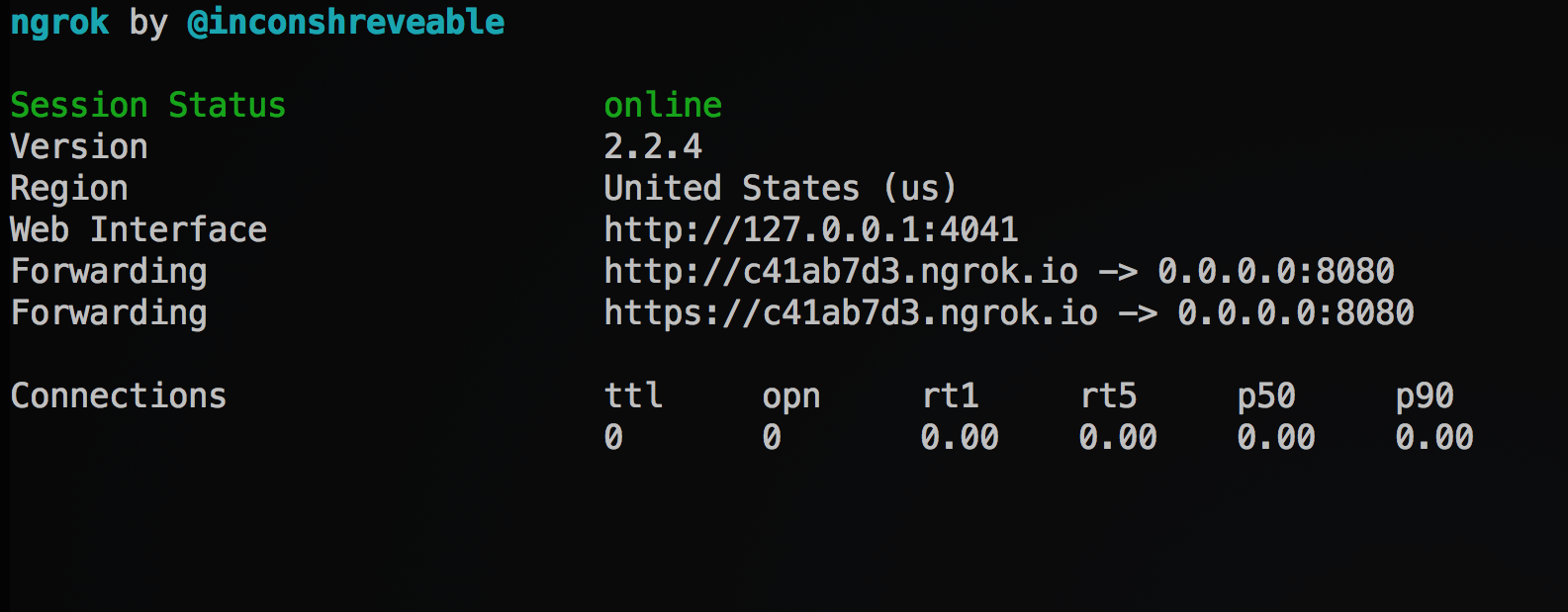 ngrok terminal output