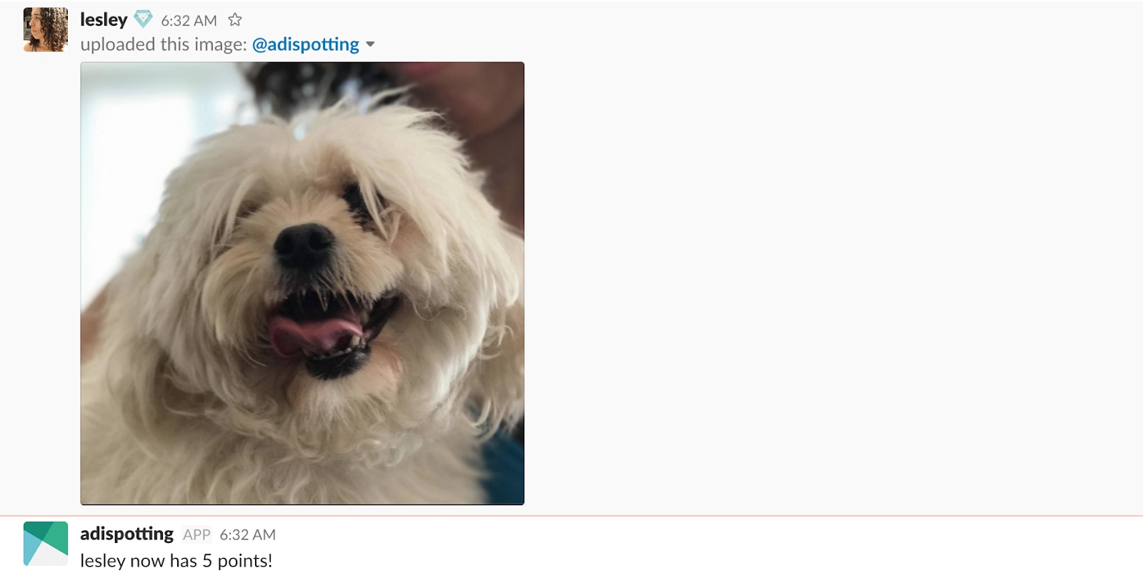 Slack bot with Python picture of a dog