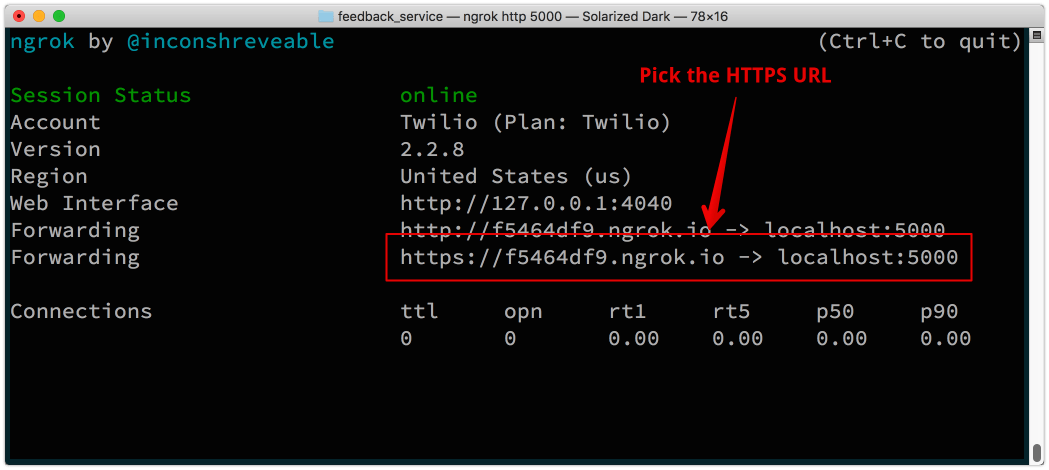 The ngrok window shows two URLs you can use, pick the HTTPS one.