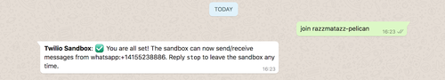 Tela do WhatsApp com a mensagem de vínculo da Sandbox e resposta da confirmação de ativação.