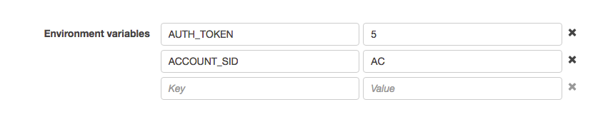 Lambda Environmental Variables