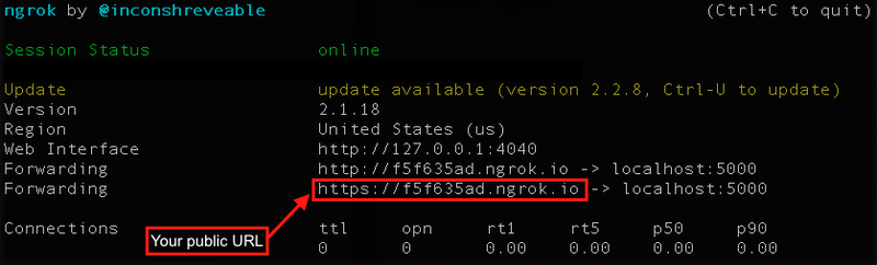 ngrok output public url