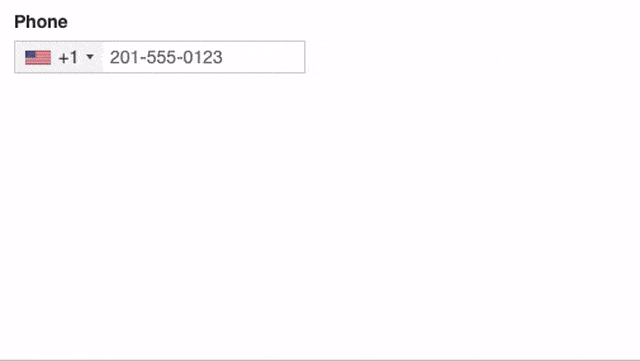 Phone number input field demo