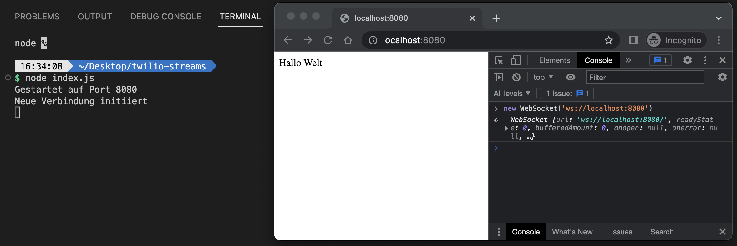 Connect to WebSocket Server from browser