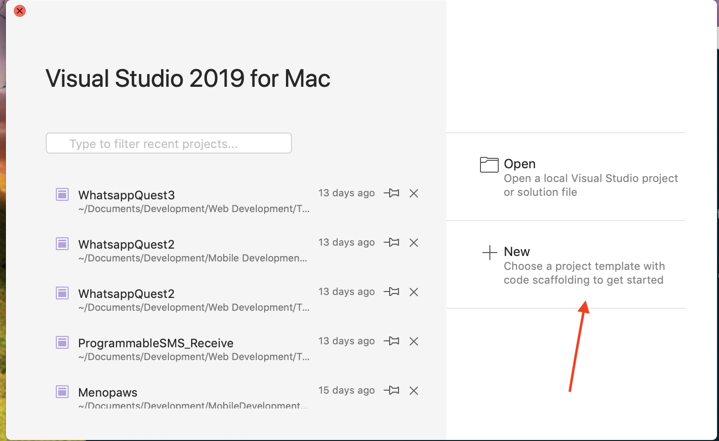 New project under Visual Studio 2019 for Mac