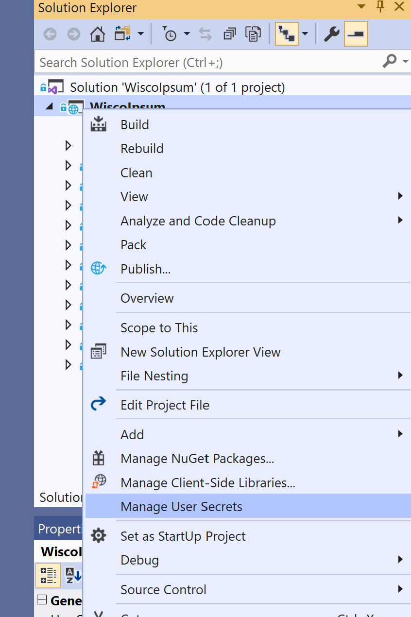 Visual Studio project node context menu screenshot