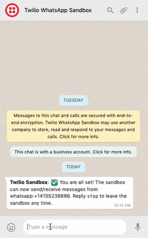 WhatsApp chatbot demo session