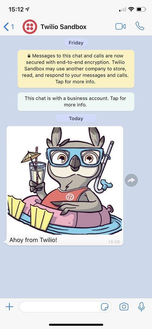 Tela do celular com o chat de WhatsApp da sandbox da Twilio com uma mensagem contendo imagem enviada via API.