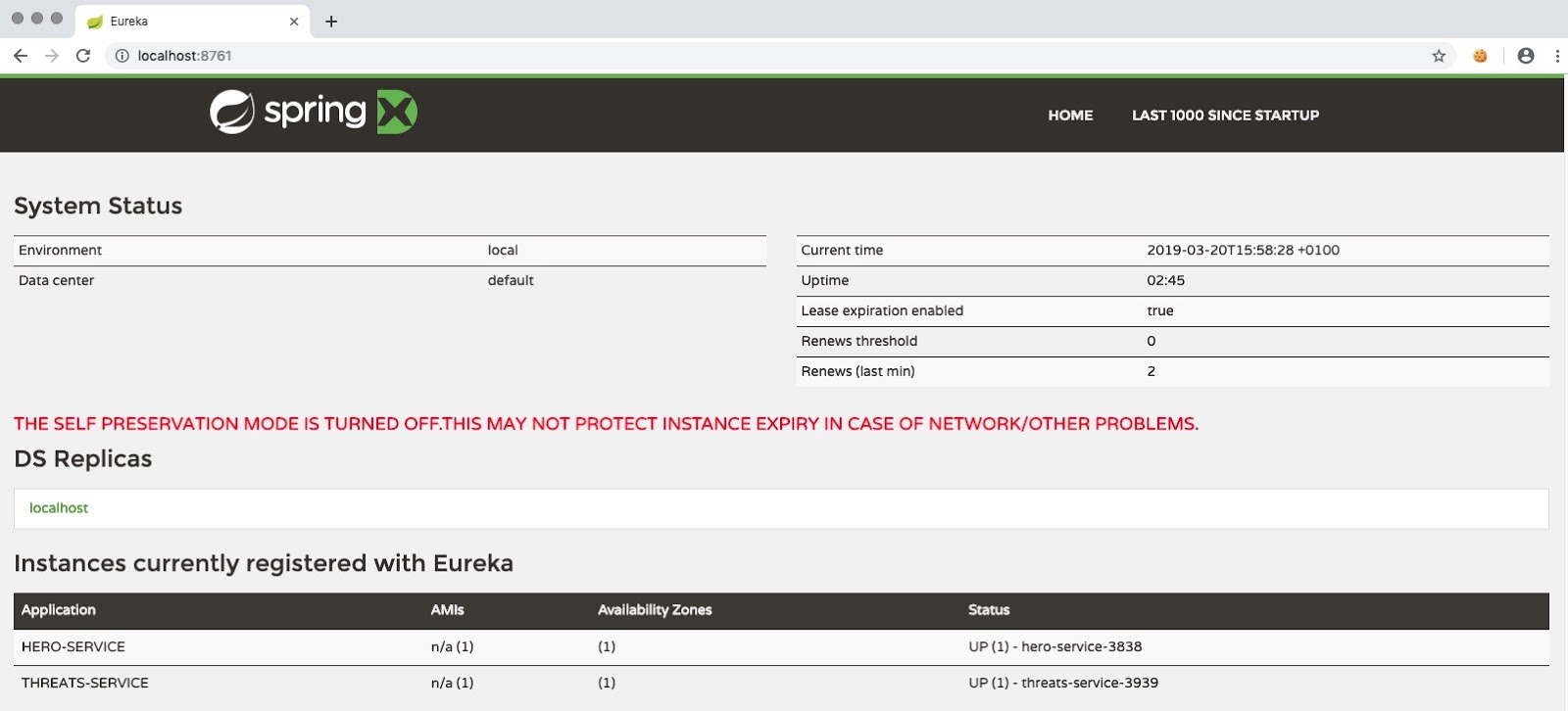 Eureka services instances registered