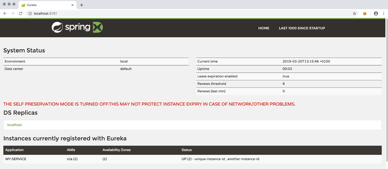 Instances registered with Eureka
