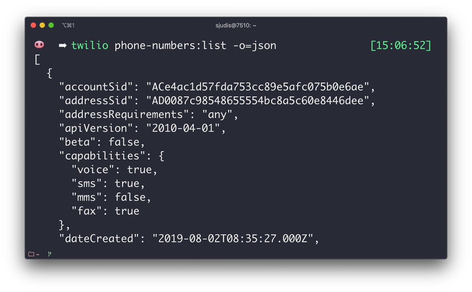 JSON output with `twilio phone-numbers:list -o=json` and the -o flag