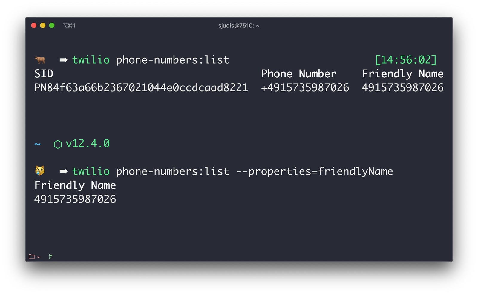 Reduced command output after ran command `twilio phone-numbers:list --properties=friendlyName` including a properties flag