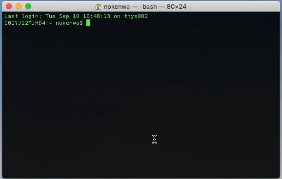 Running ngrok in terminal and copying https URL