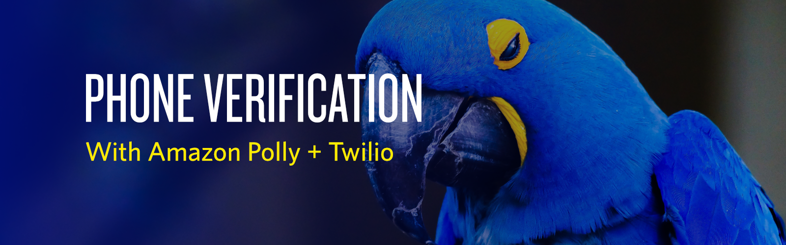 phone-verification-aws-polly-twilio-cover-photo.png