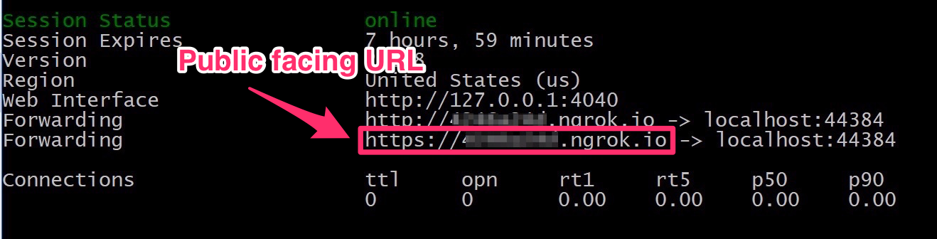 screenshot of ngrok