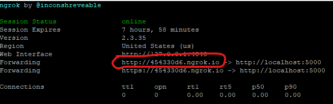 ngrok screenshot