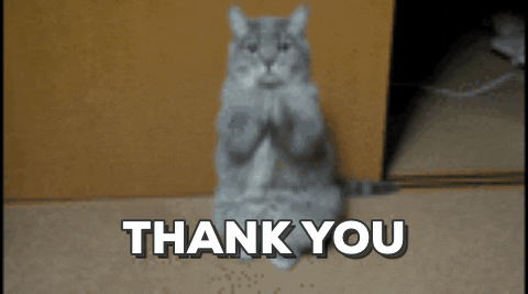 gif of cat moving with a caption saying "thank you"