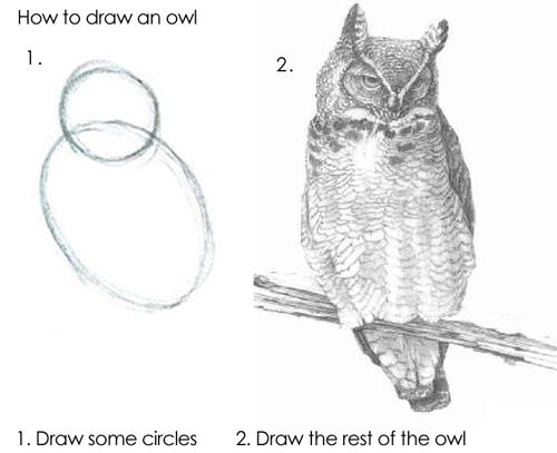 Draw the Owl