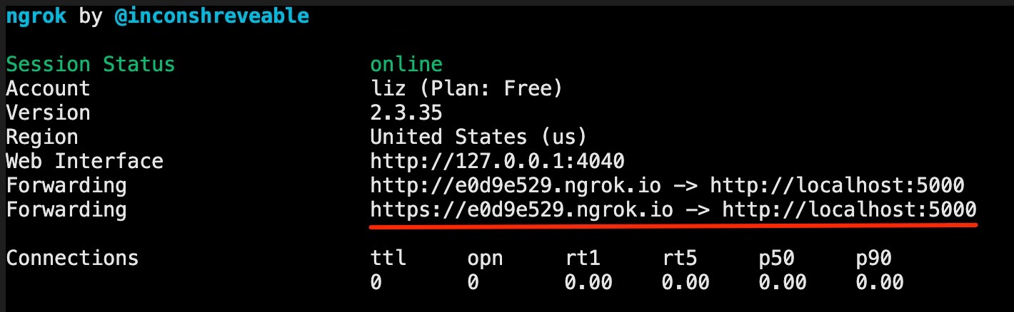 Screenshot of ngrok running plus the https area