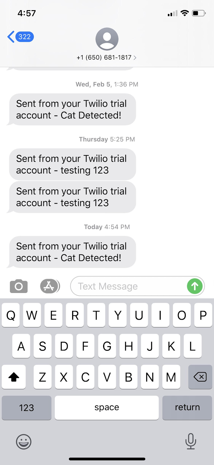 sms received demo