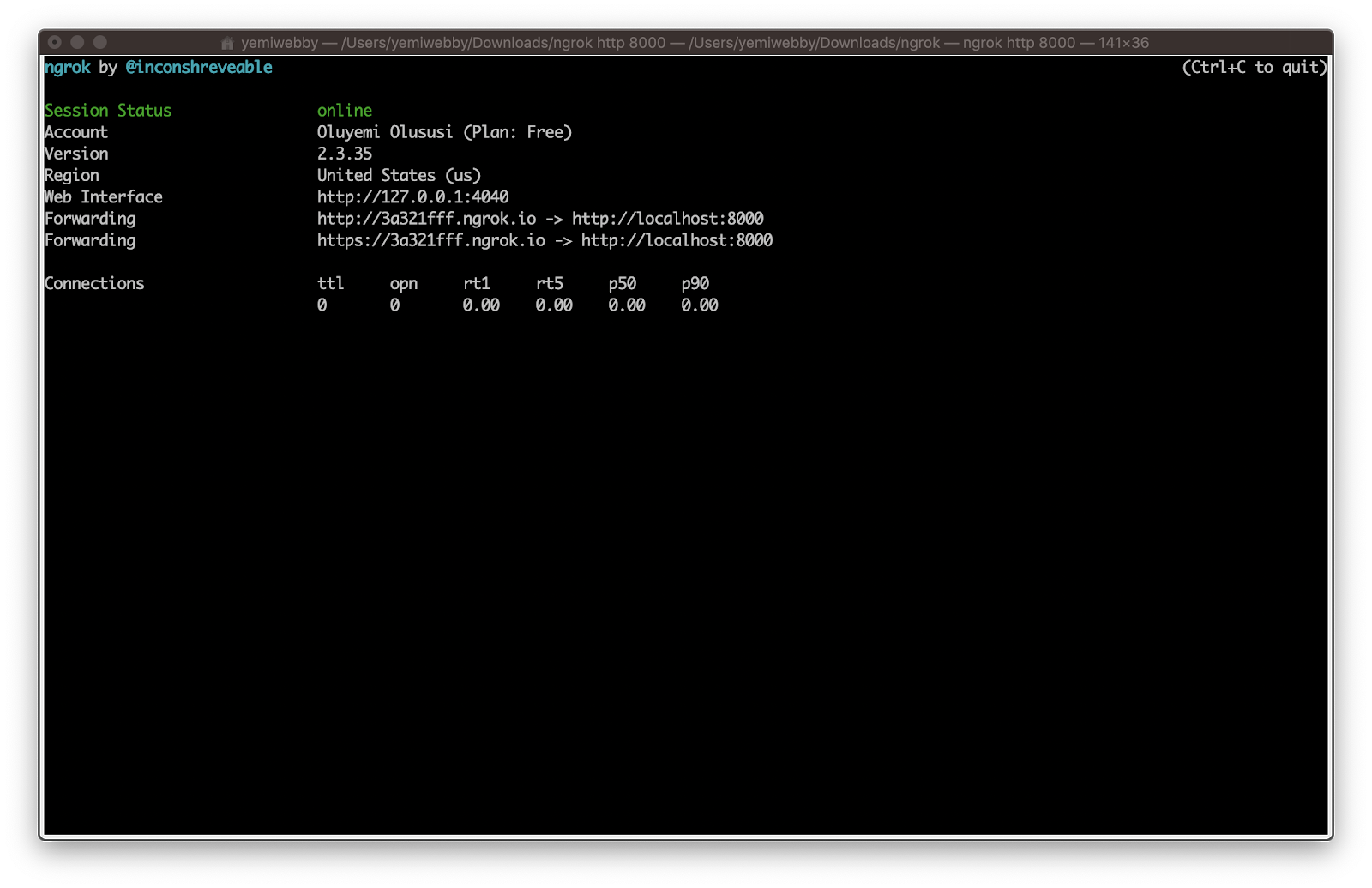 Ngrok result from terminal