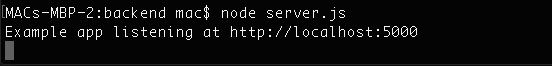 Server run CLI output