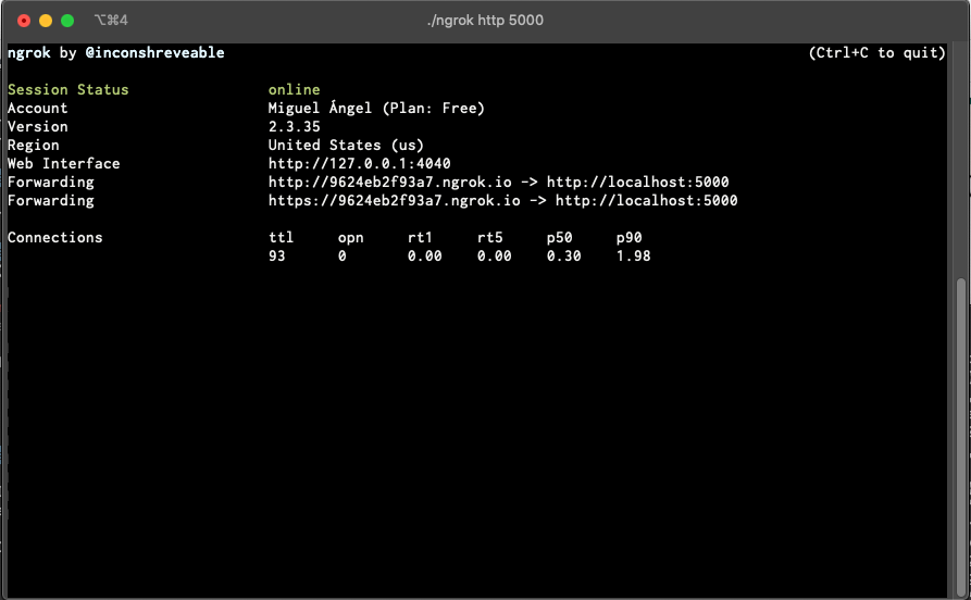 ngrok output