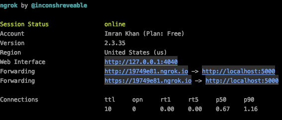 ngrok screenshot