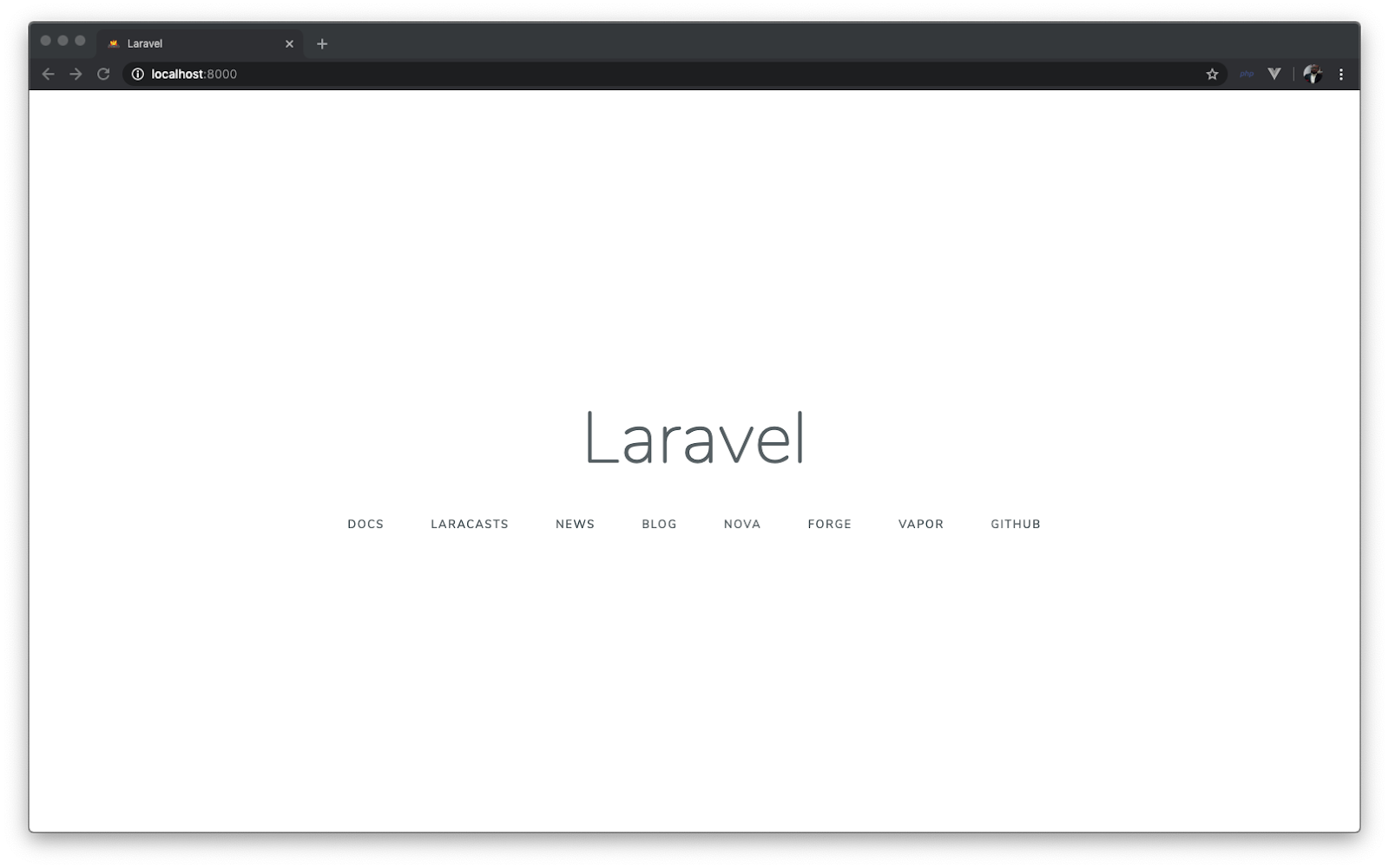 Laravel application homepage