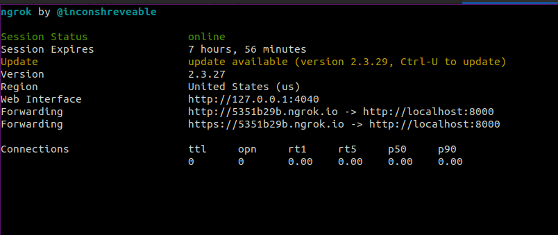 ngrok output