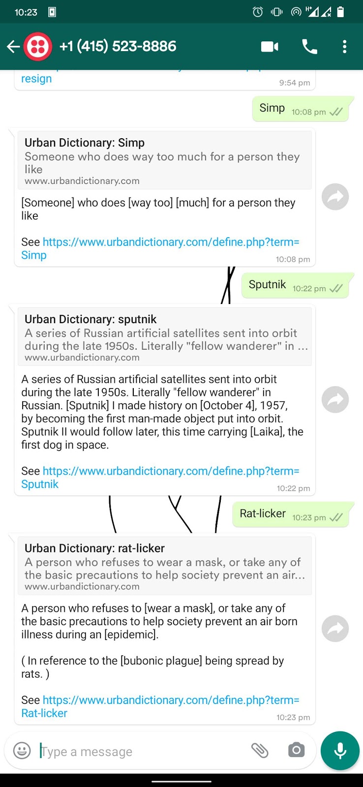 Screenshot of Urban Dictionary definitions