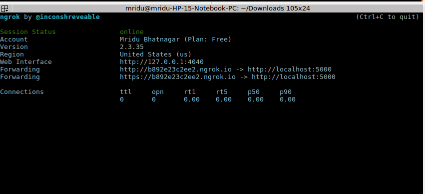 ngrok output