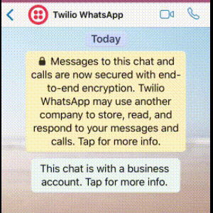 whatsapp bot demo
