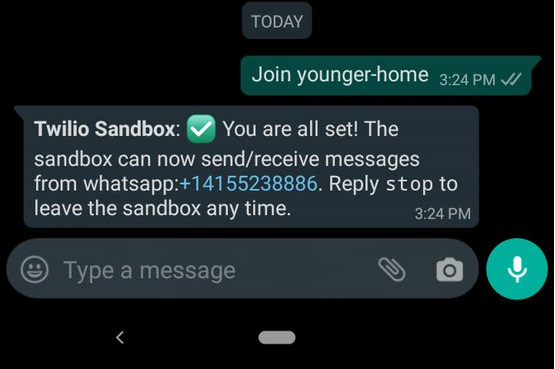 WhatsApp message screen