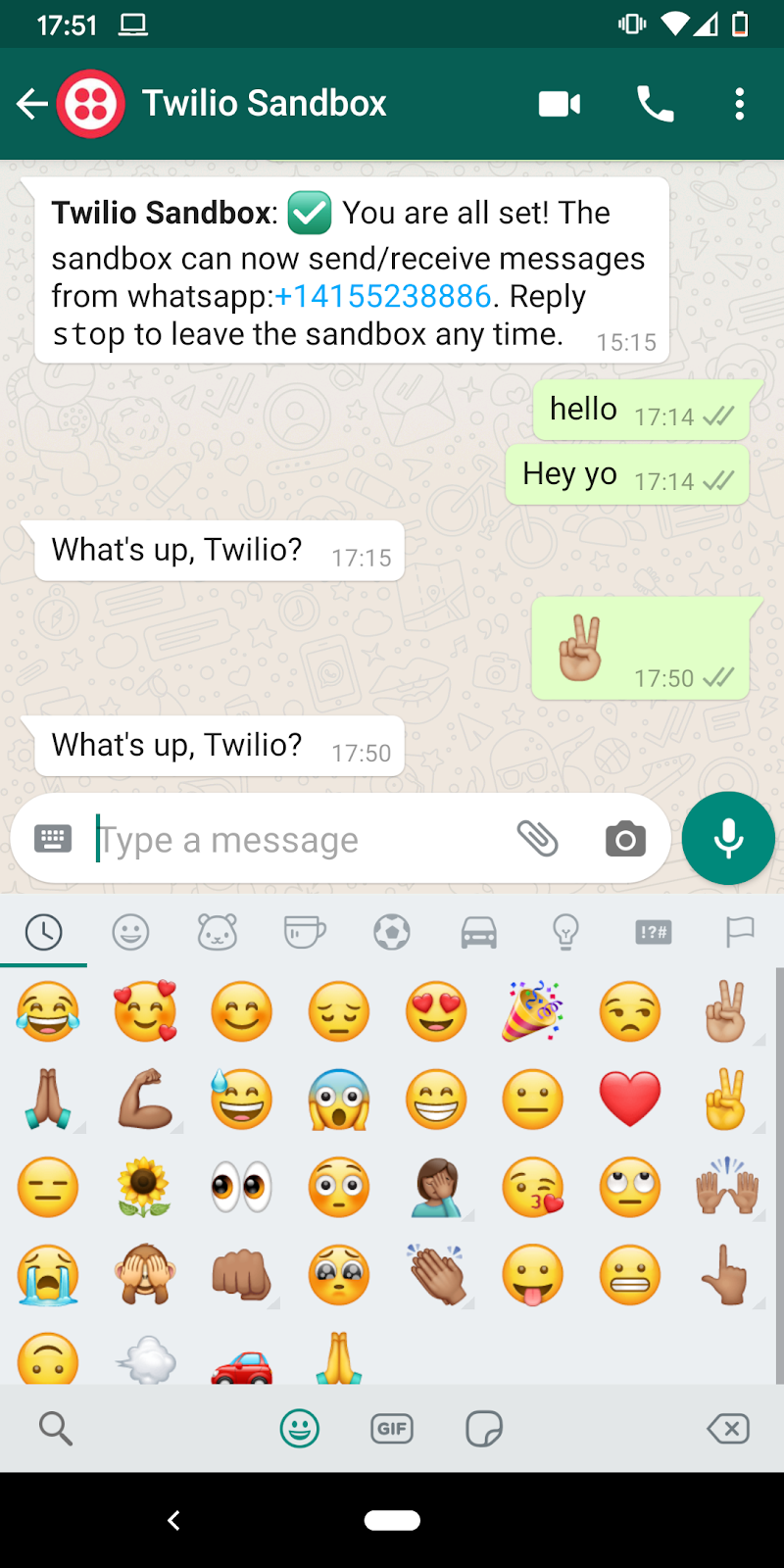 whatsapp bot demo