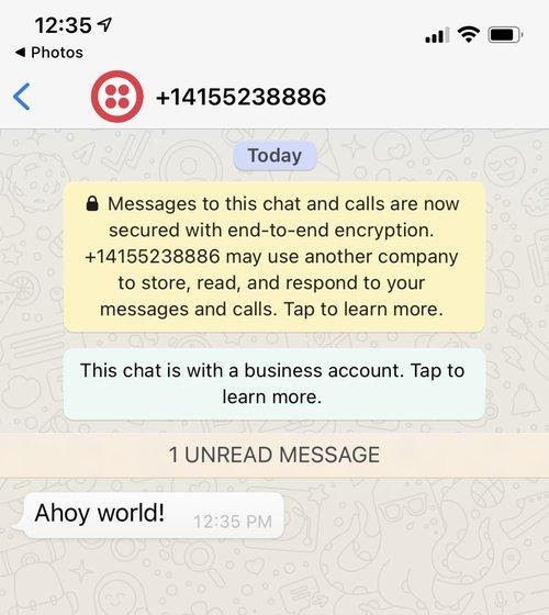Captura de pantalla de WhatsApp mostrando el mensaje '¡Tierra a la vista!'