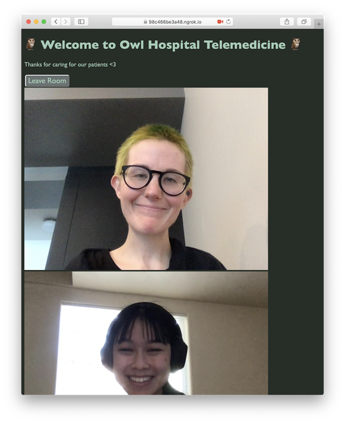 Captura de tela de um aplicativo de telemedicina. O texto diz &#x27;Bem-vindo ao Owl Hospital Telemedicine&#x27; e há 2 pessoas sorridentes e reais conversando por vídeo.