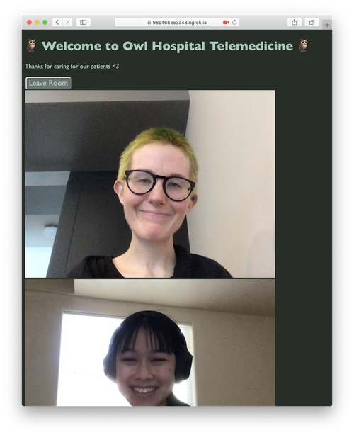 Captura de tela de um aplicativo de telemedicina. O texto diz 'Bem-vindo ao Owl Hospital Telemedicine' e há 2 pessoas sorridentes e reais conversando por vídeo.