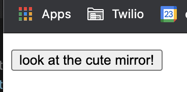 HTML button that says "look at the cute mirror!"