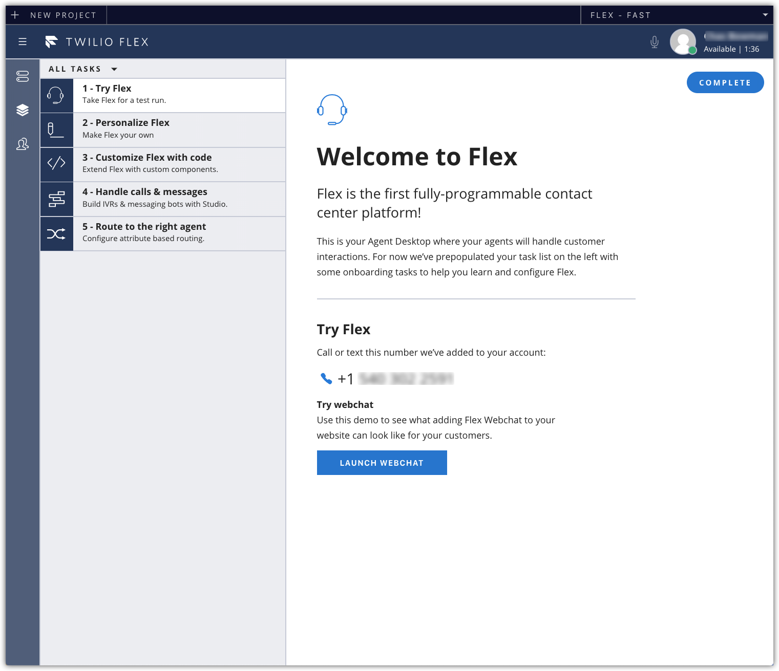 A view of Flex after you first create an Instance