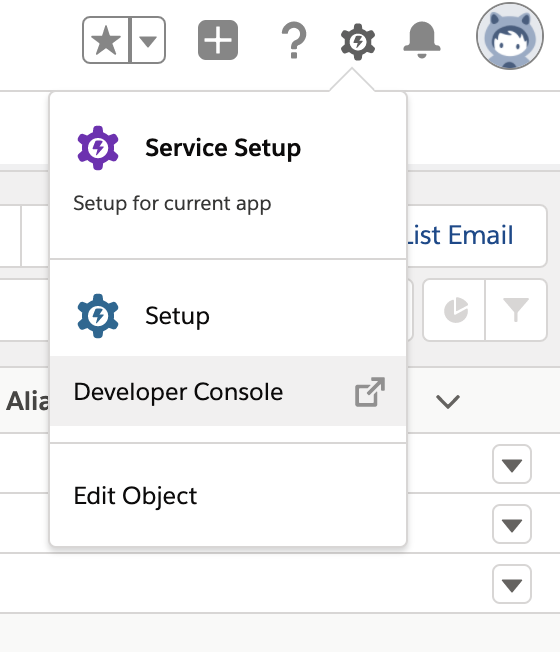 Salesforce Developer Console