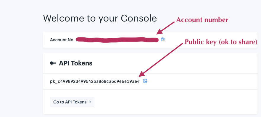 Screenshot of account number and API token on the IEX Console page