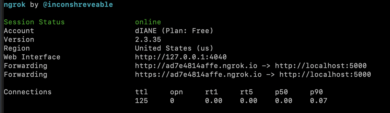 screenshot of the ngok output running on the terminal